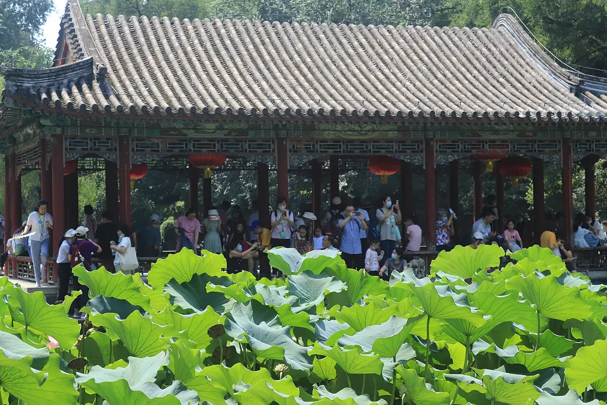 资料图：北京恭王府景区的资料图，前景为荷叶，背景为古建筑长廊与游人。